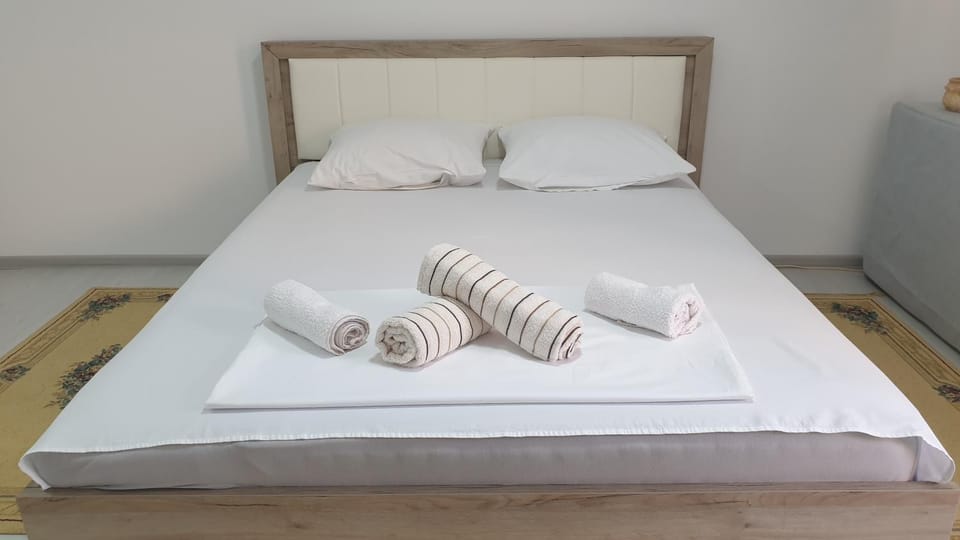 Apartman Sava Apartment in Serbia