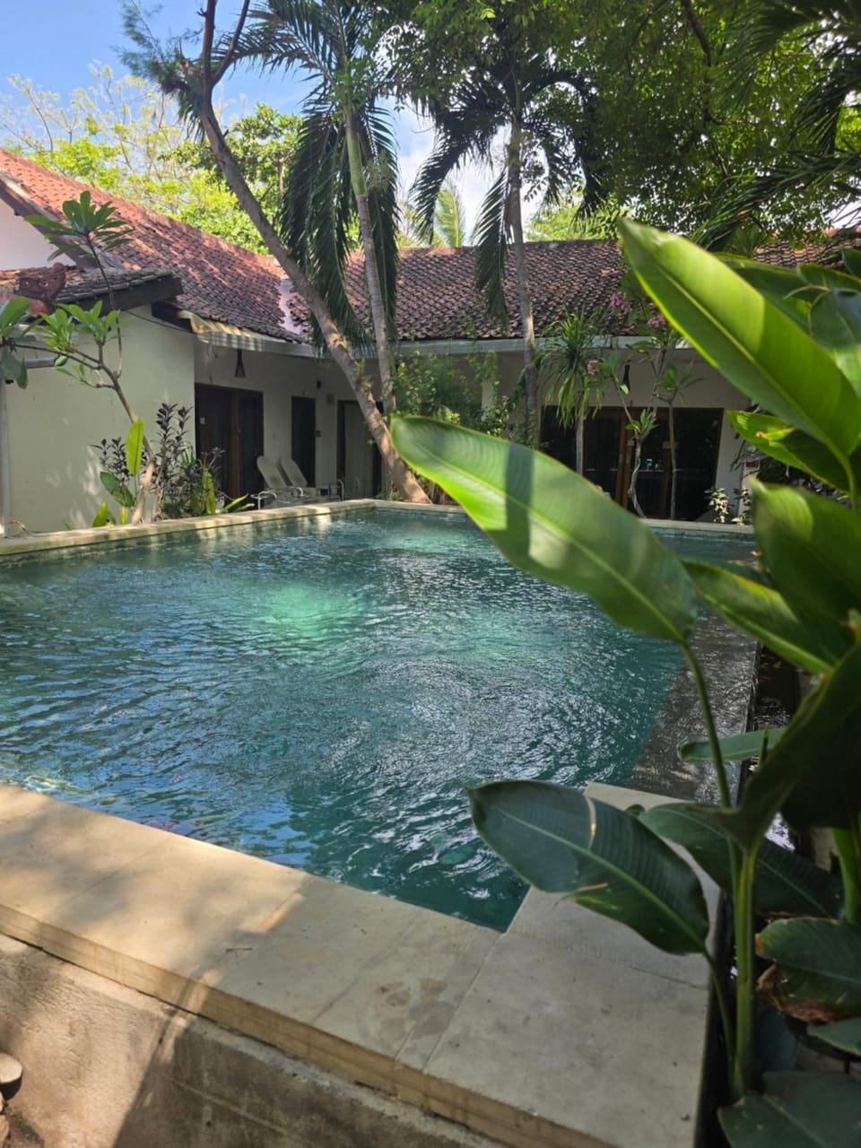 Pool view
