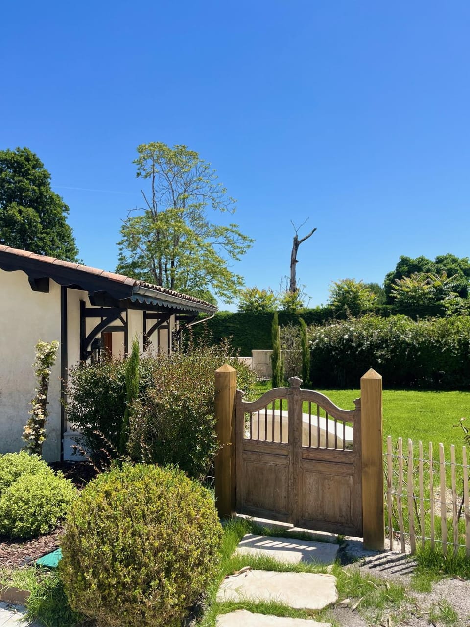 Garden view