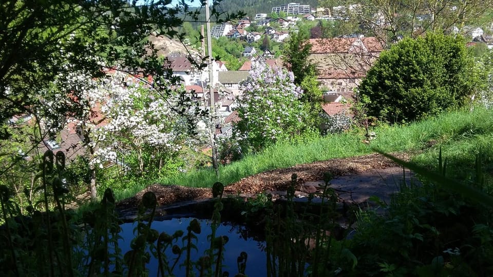 Nearby landmark, Spring, Natural landscape, BBQ facilities, Garden, On site