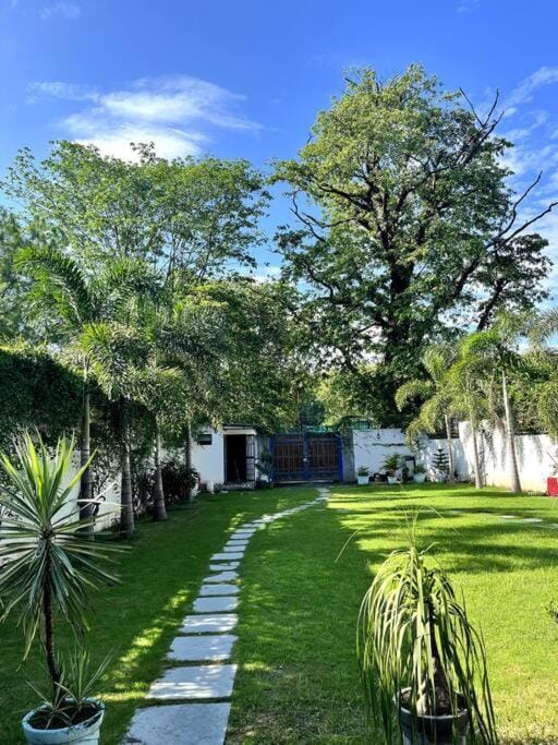 Spring, Day, Natural landscape, Garden, Garden view