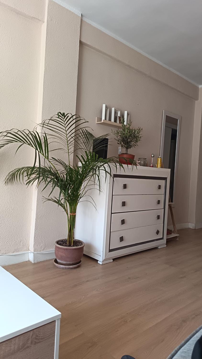 Habitaciones en Apartamento compartido DELICIAS ROOM Cerca del Mar, Aeropuerto, Ave y Metro Vacation rental in Malaga