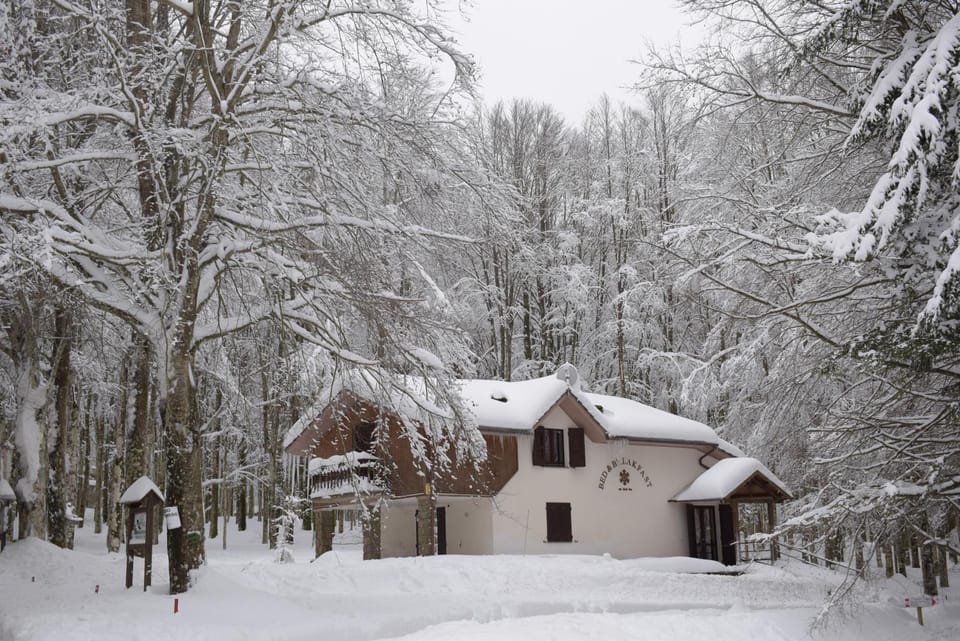 Winter, View (from property/room)