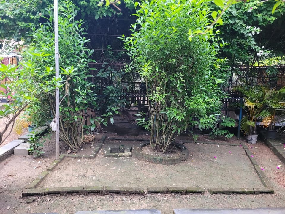 Garden view, Inner courtyard view