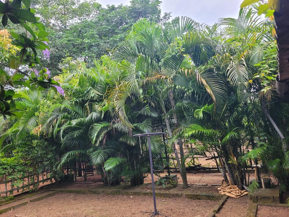 Garden view, Inner courtyard view