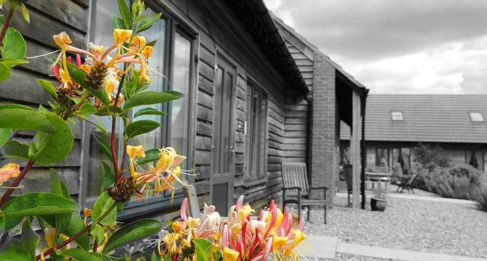Elm Tree Farm Accommodation Nature lodge in England