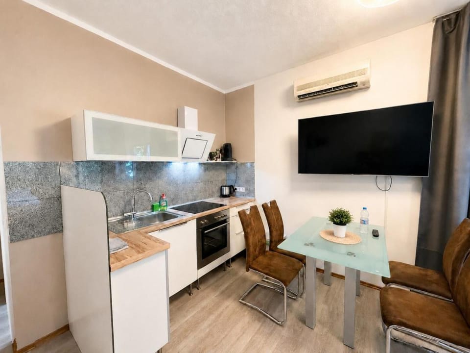 CF13 30m2 Central with Terrace AC and Netflix Apartment in Heidelberg
