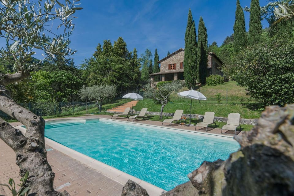 Natural landscape, Garden, Swimming pool, sunbed