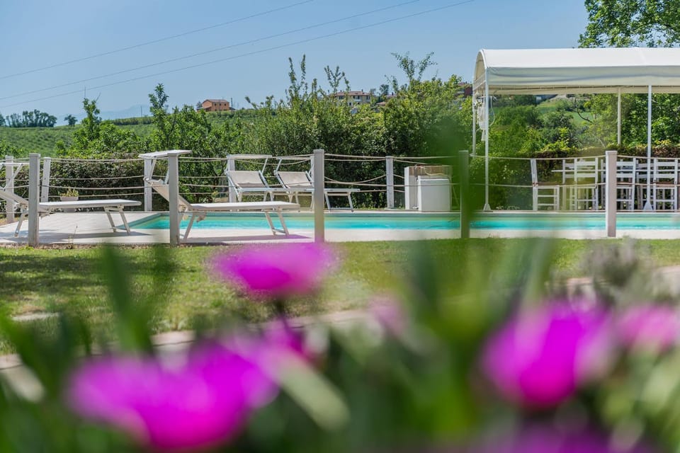 Garden, Garden view, Swimming pool