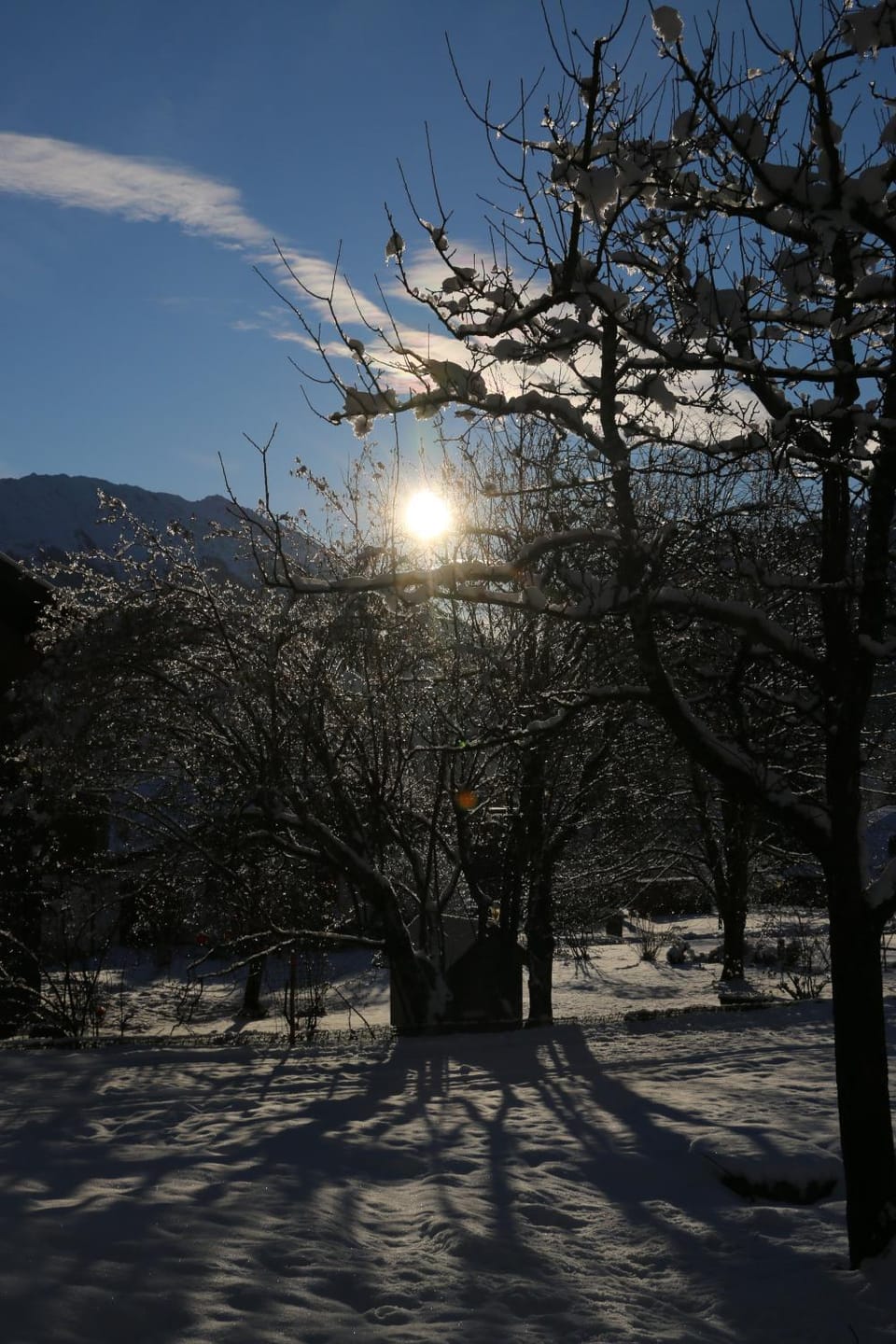 Natural landscape, Winter, Garden view, Sunrise