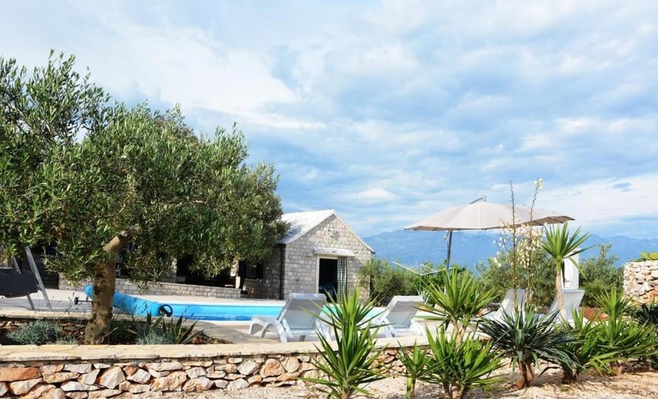 Patio, Garden, Garden view