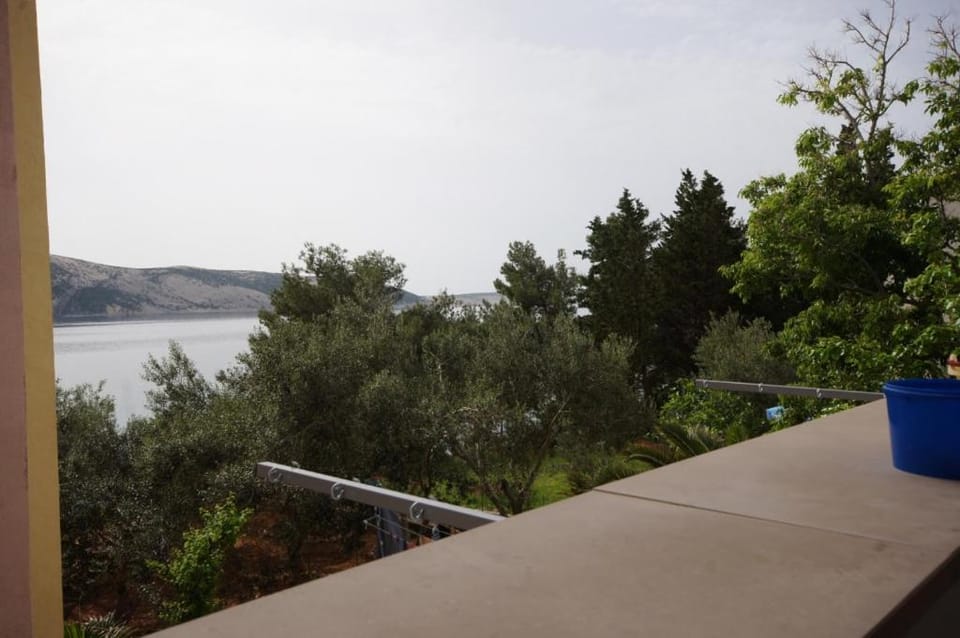 Patio, Garden, Garden view