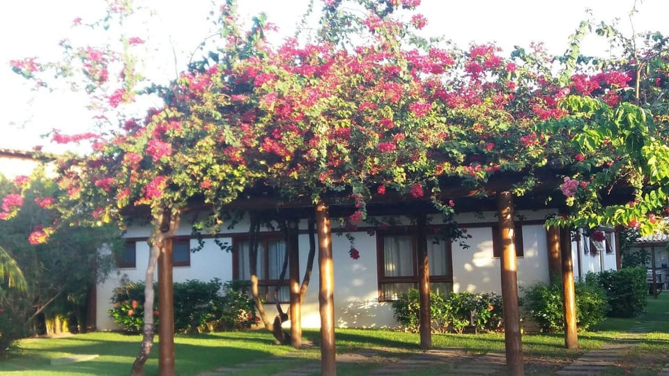 Property building, Garden
