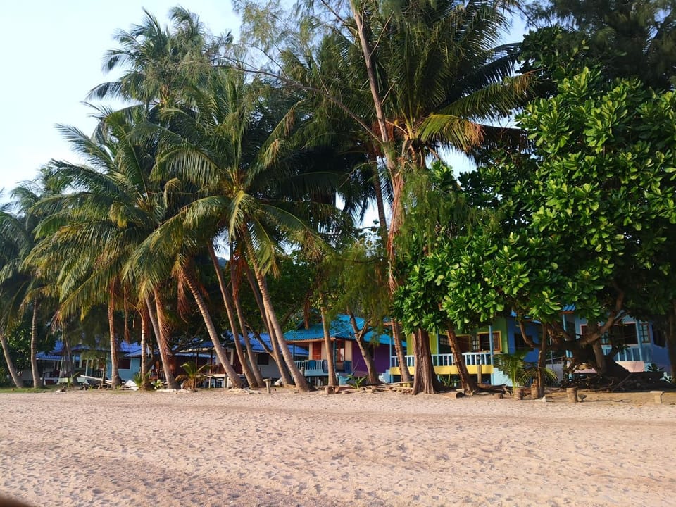 Mama O Chai Koh Tao Campground/ 
RV Resort in Ko Tao