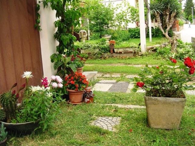 Patio, Garden, Garden view