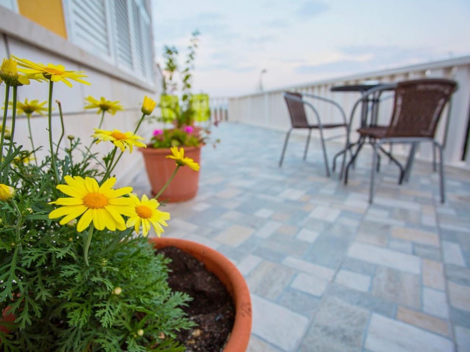 Apartments Damnjanka Apartment in Dubrovnik-Neretva County