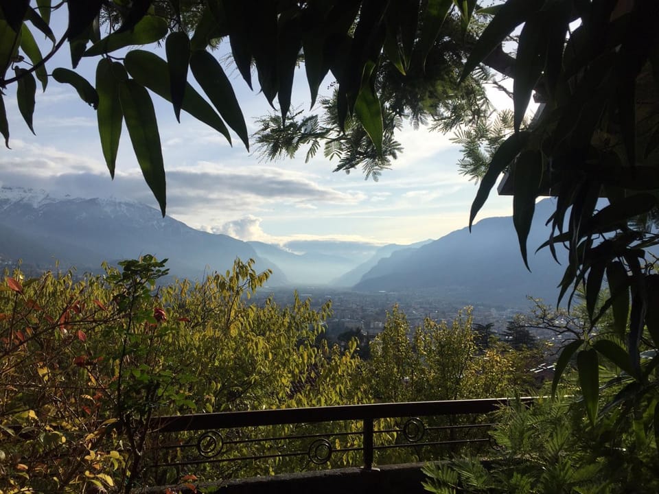 Mountain view