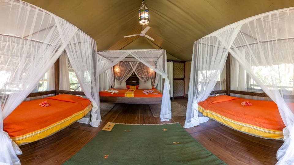 Diani Marine_Safari Tent Luxury tent in Diani Beach