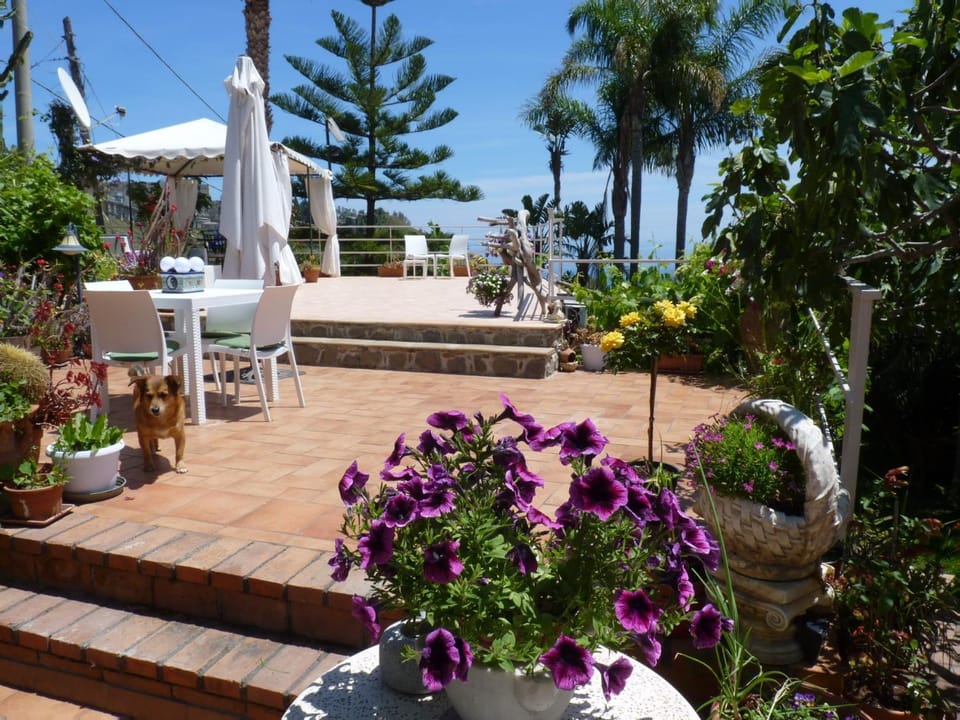 Garden view