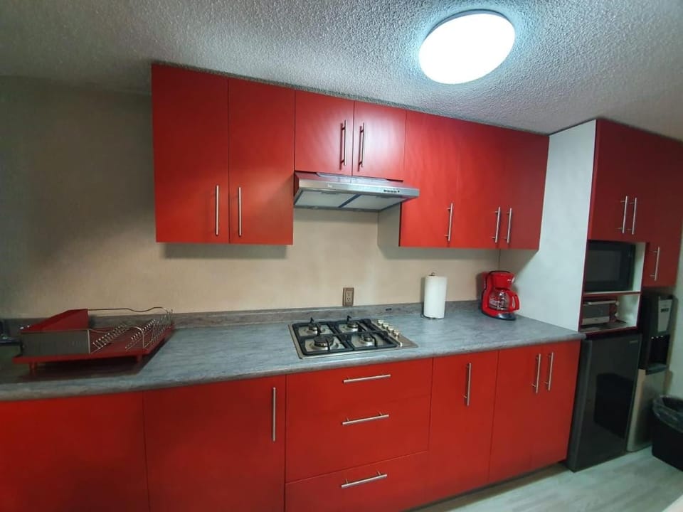 H-FG PLUS Apartment in State of Puebla