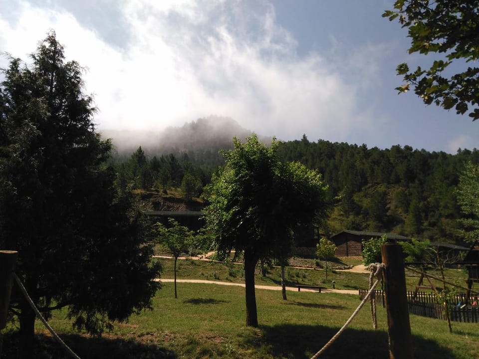 Off site, Summer, Garden