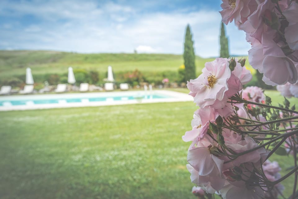 Day, Garden, Garden view, Pool view, Swimming pool