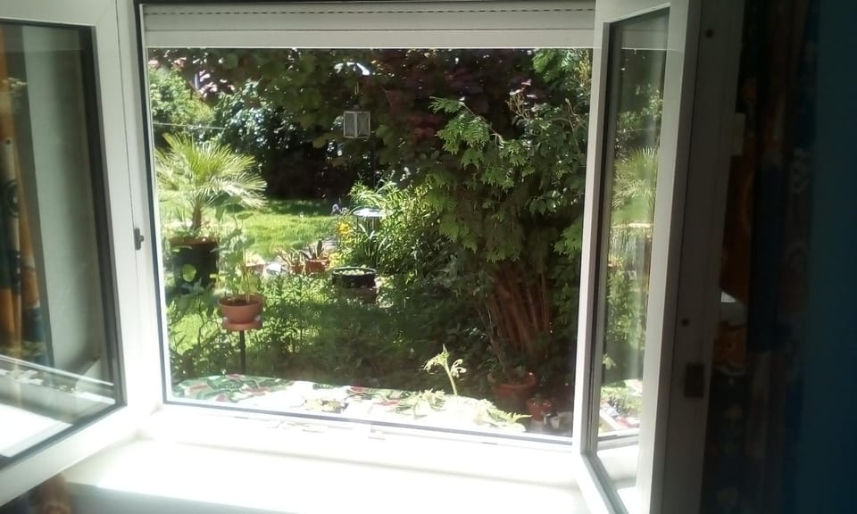 Garden view