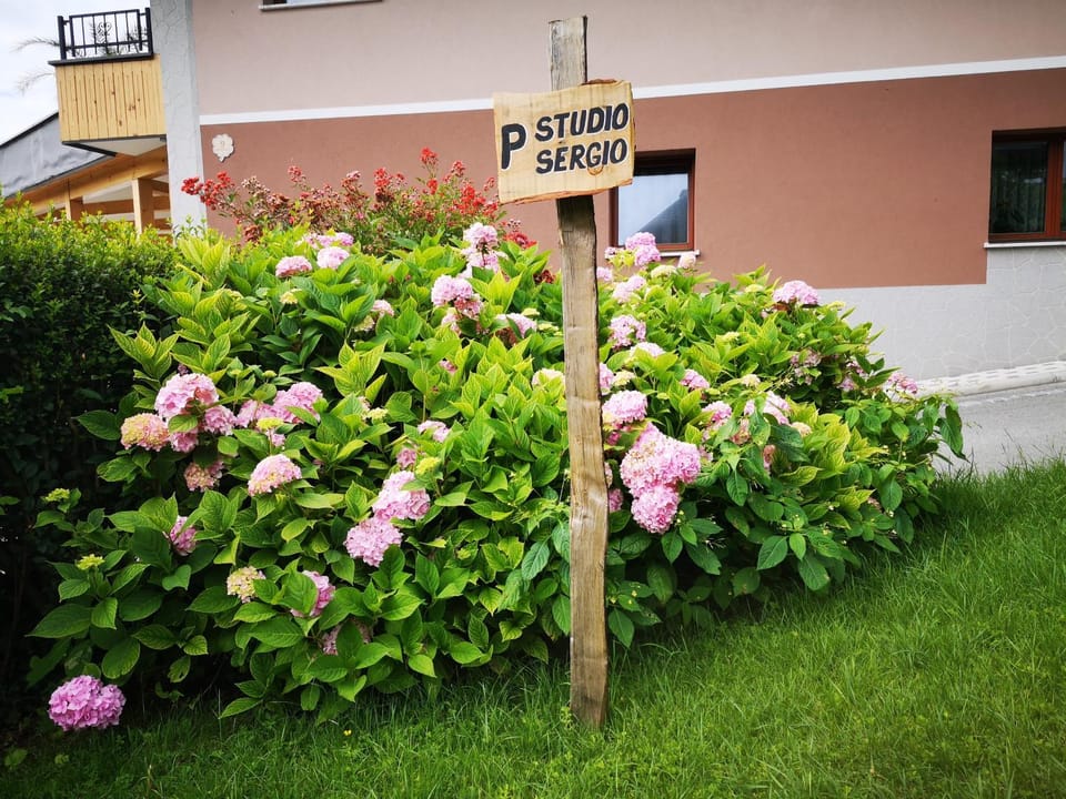 Day, Garden, Logo/Certificate/Sign, Street view