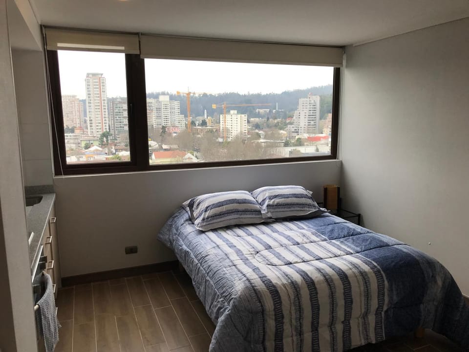 Departamento Un Ambiente Centro de Concepción Apartment in Bio Bio, Chile