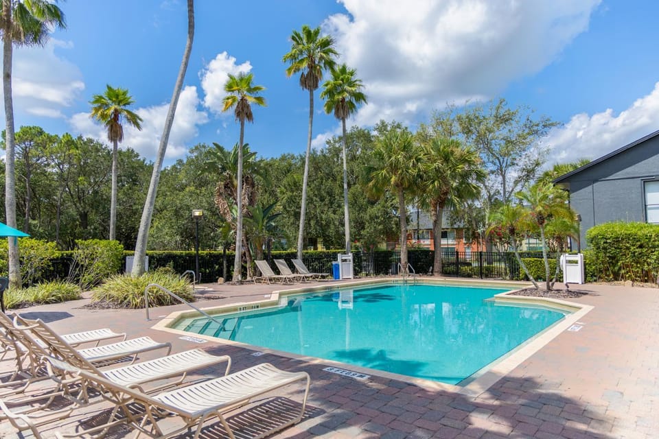 Swimming pool, Swimming pool