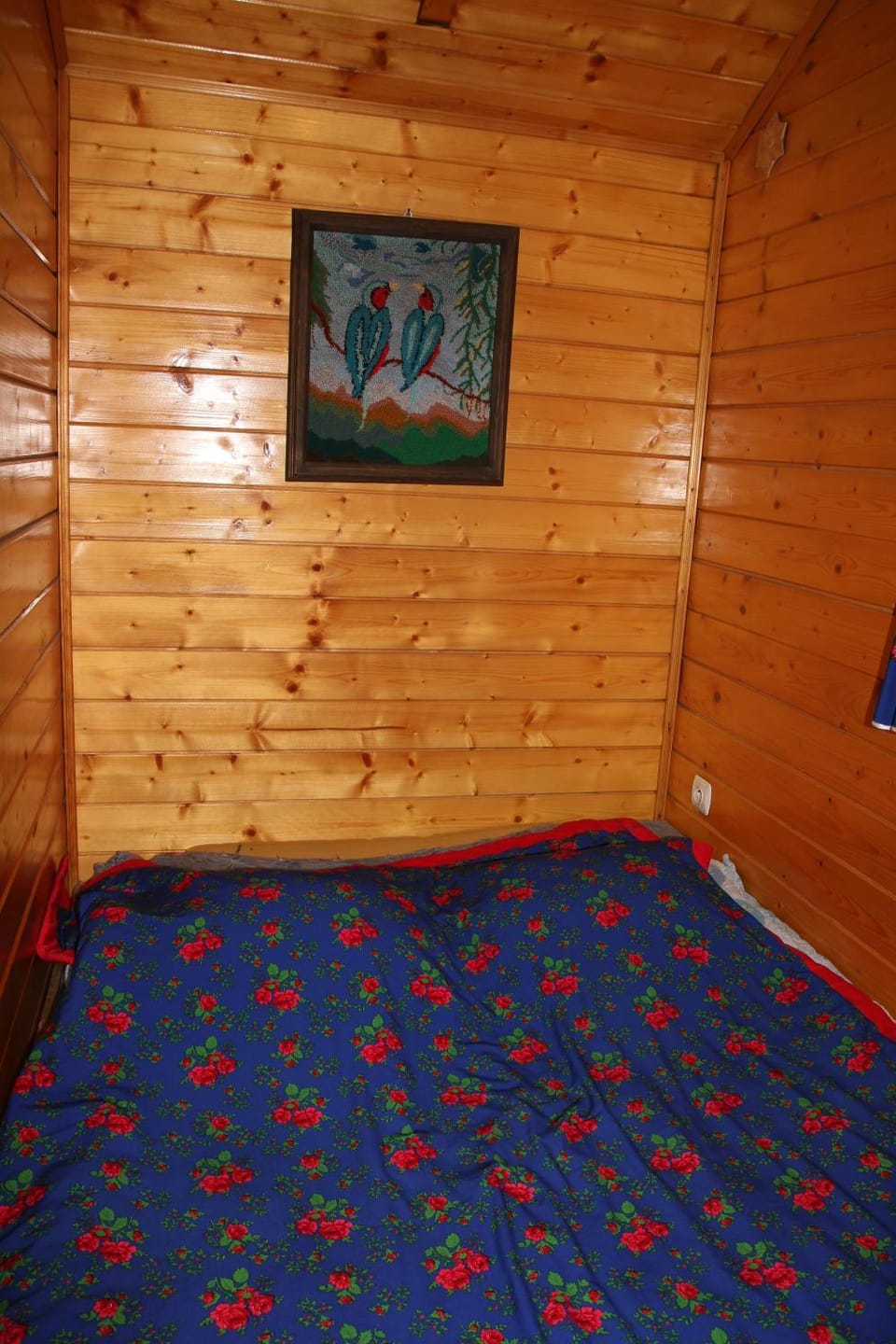 Domek pod zielonym lasem Chalet in Zakopane