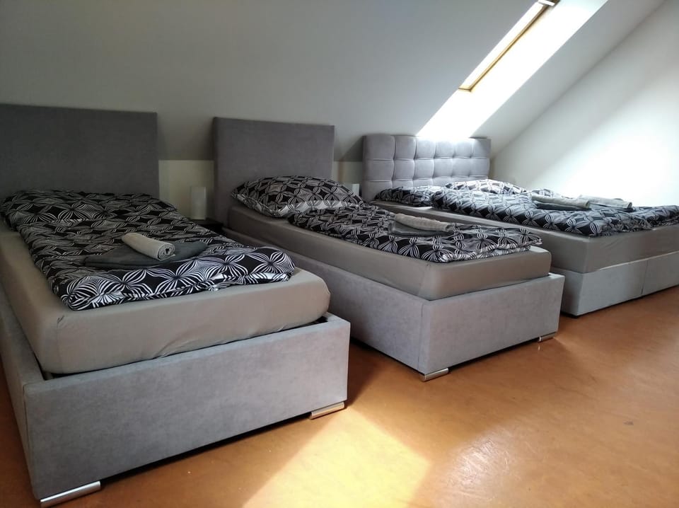 Apartmány Borská Apartment in Saxony