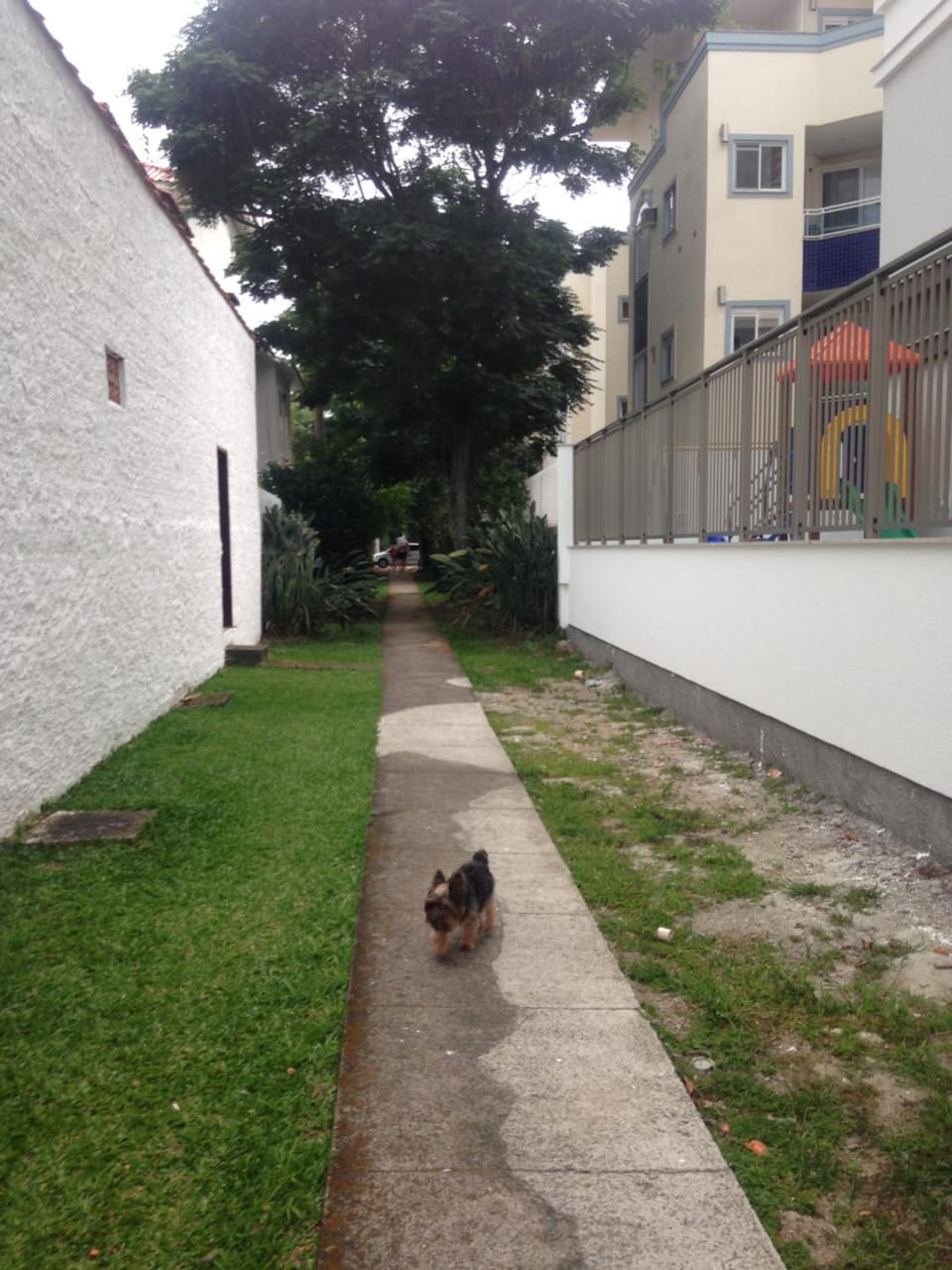 jurere Apartment in Florianopolis