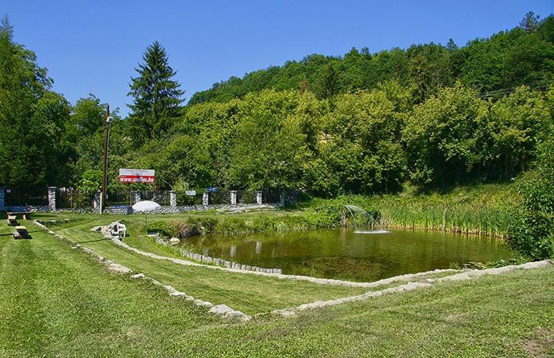 Lake view