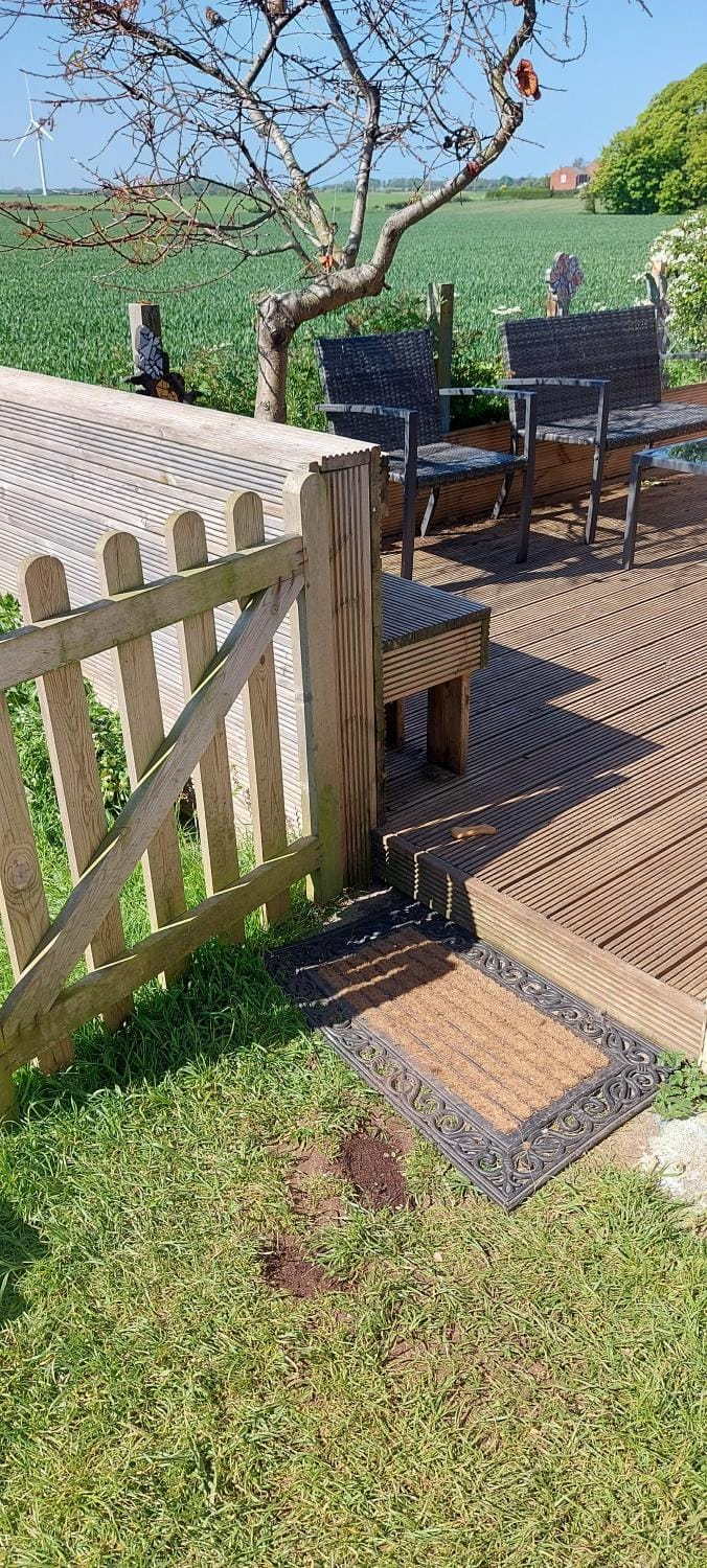 Patio, Garden, Garden view