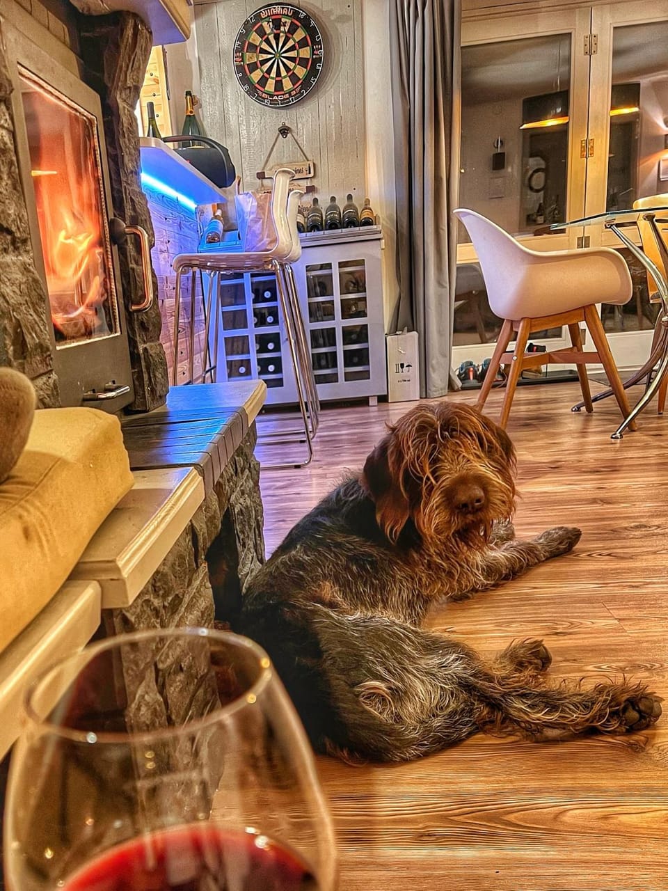 Darts, Living room, Pets