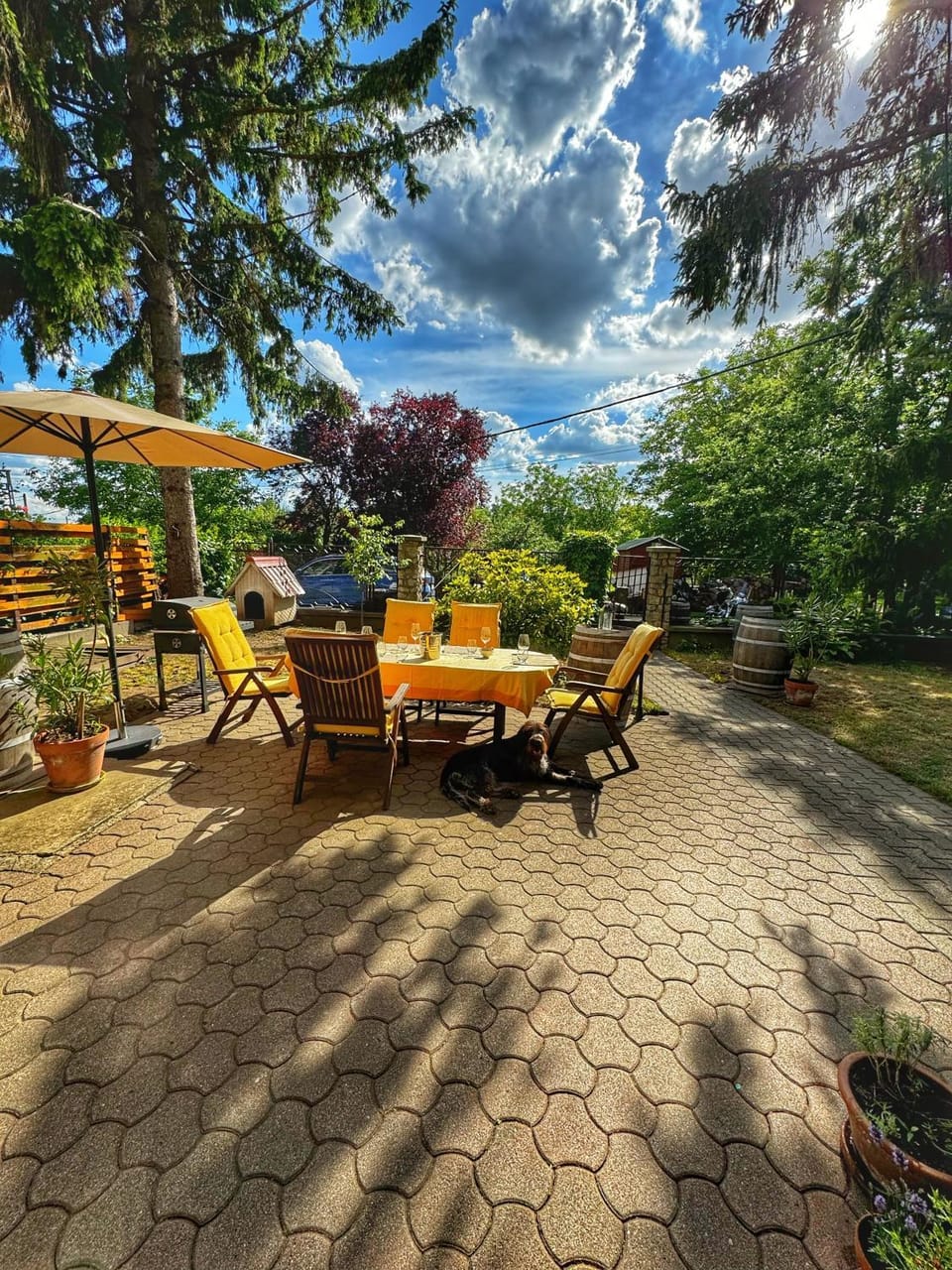 Patio, Day, Garden, Dining area, Garden view