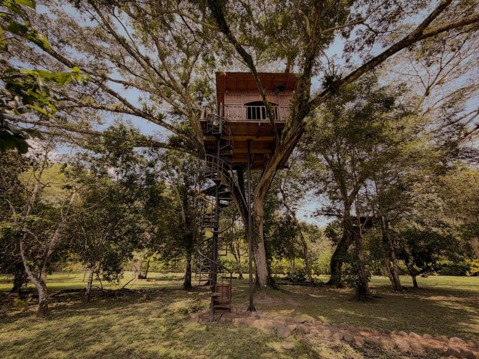Casa del Árbol Colombia Villa in Cundinamarca, Colombia