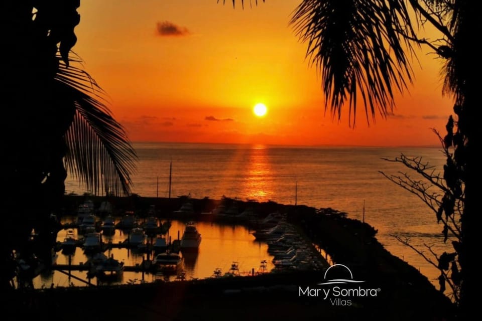 Natural landscape, Sea view, Sunset