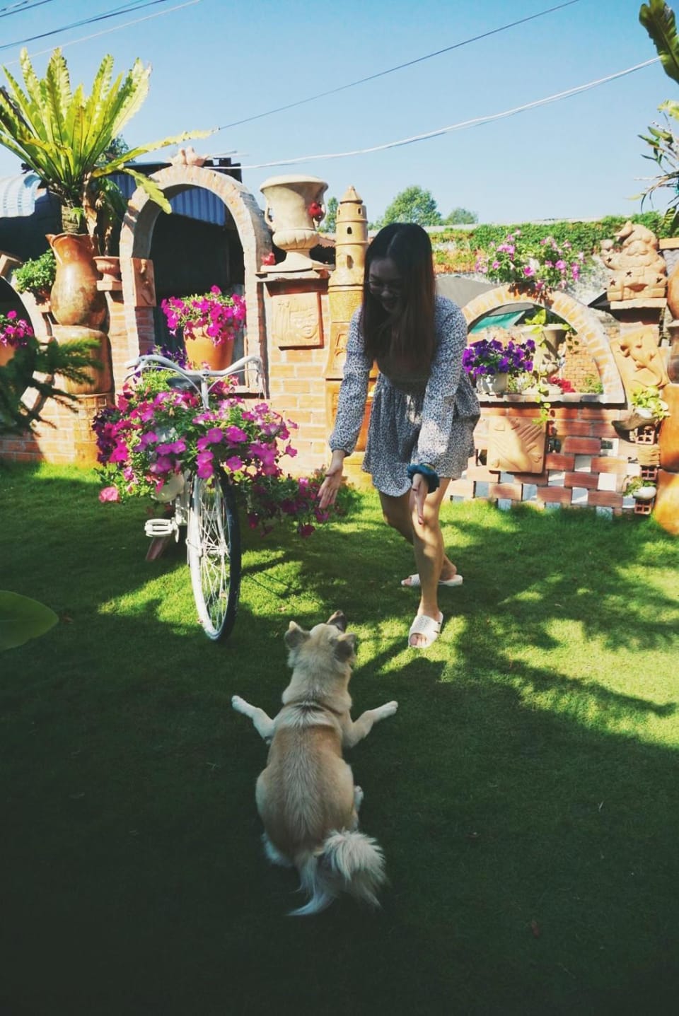 People, Garden, Garden, Pets, Garden view, group of guests