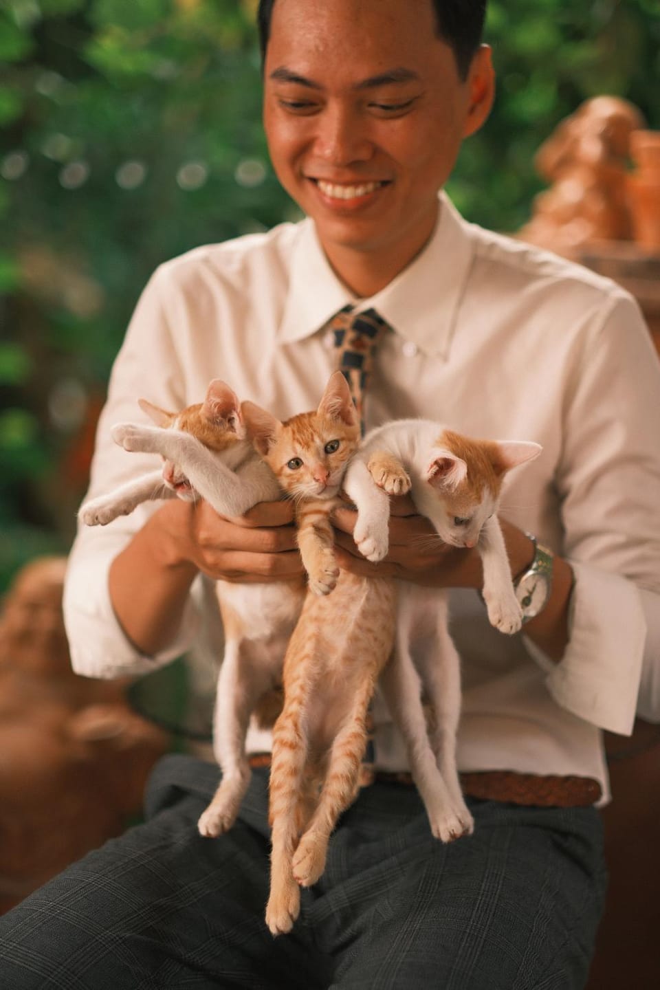 Animals, Pets, Pets, pet friendly