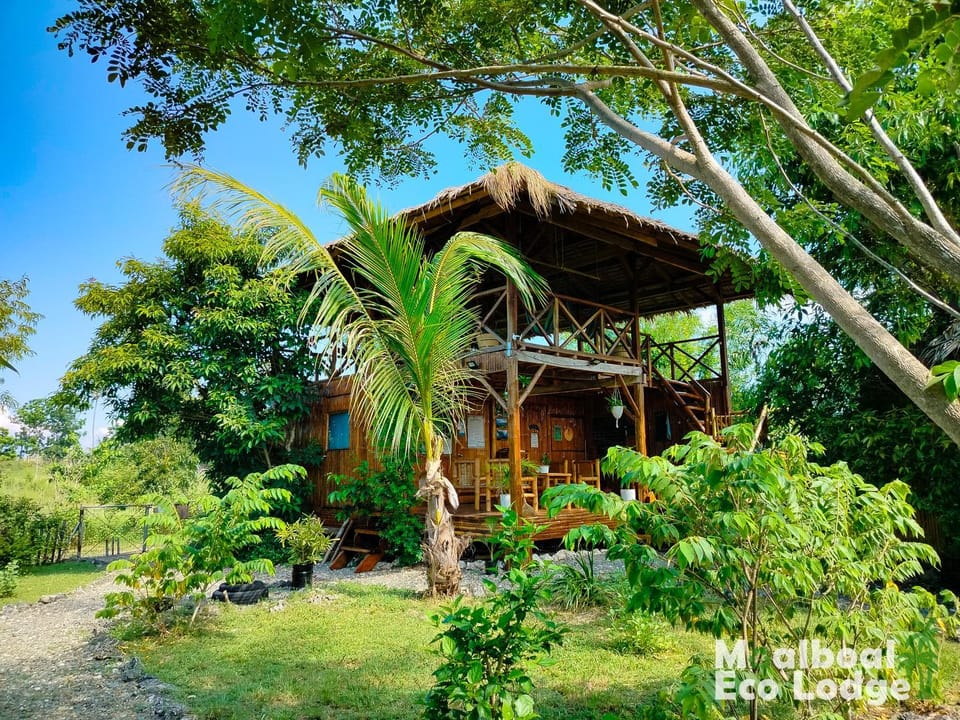 Property building, Garden, Dining area, Garden view, kitchen