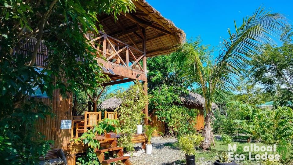 Property building, Natural landscape, Garden, Garden view, Area and facilities