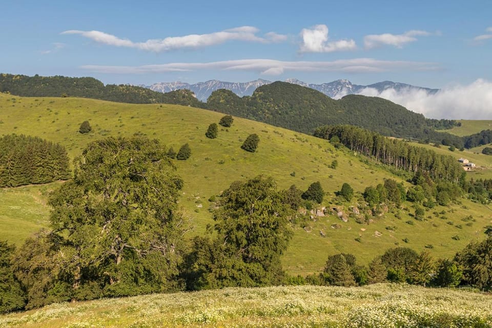 Natural landscape