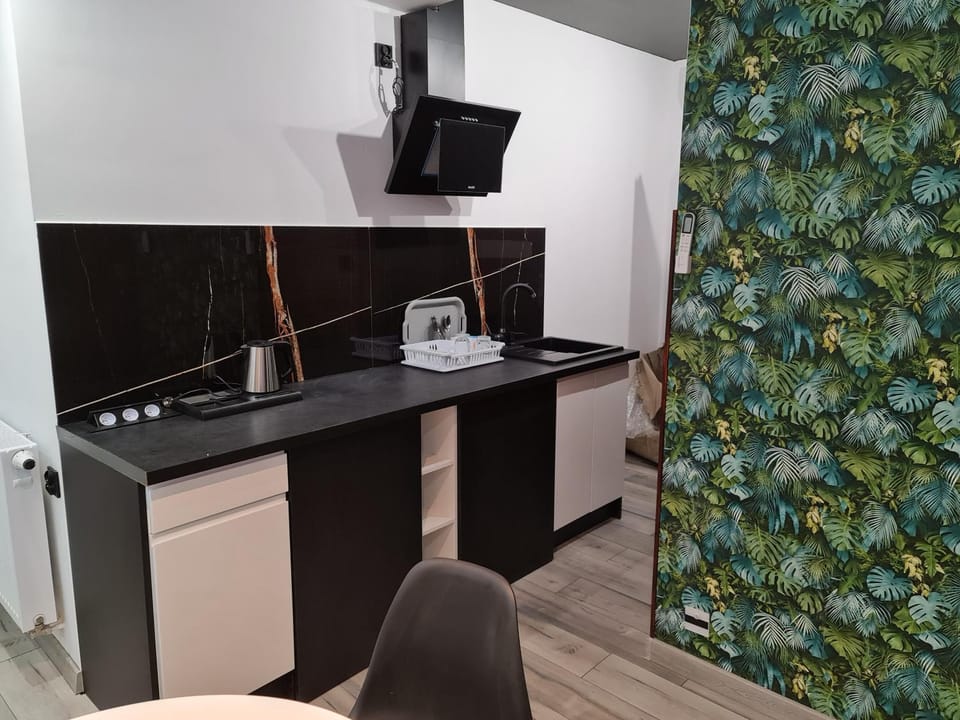 Kitchen or kitchenette, minibar, stove