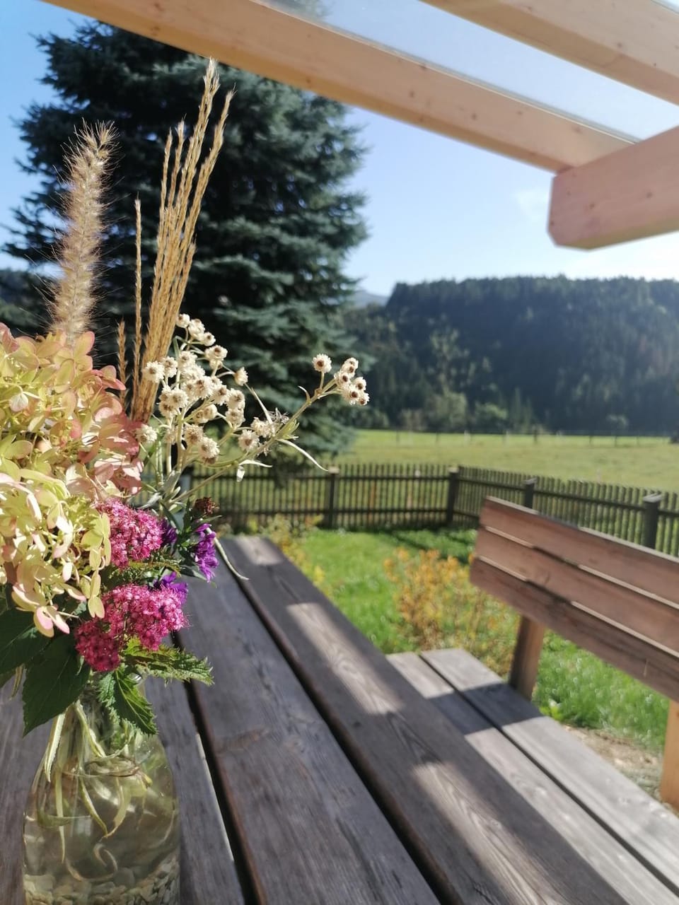 Summer, Garden, Garden, Balcony/Terrace, Garden view