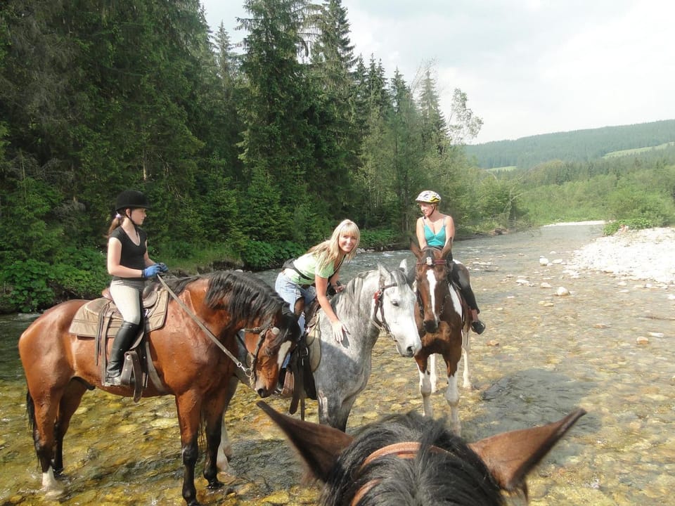People, Horse-riding, Animals, children