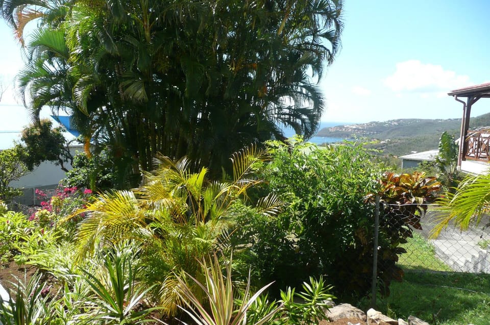 Douceurs Caraïbes, Gîte Cannelle House in Bouillante
