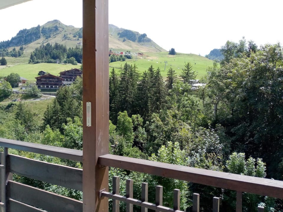 Appartement cosy 4 personnes, animaux admis, au cœur du Chinaillon Apartment in Le Grand-Bornand