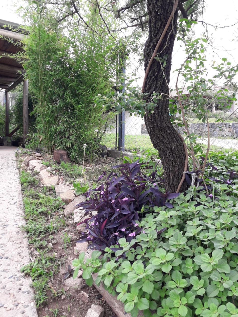 Day, Garden